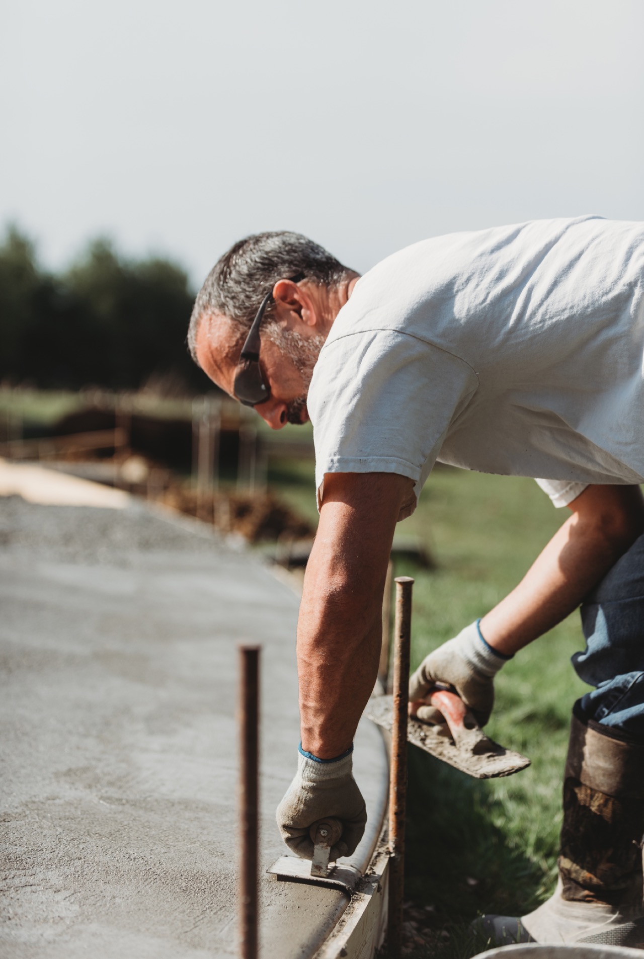 Image for Why Elementis