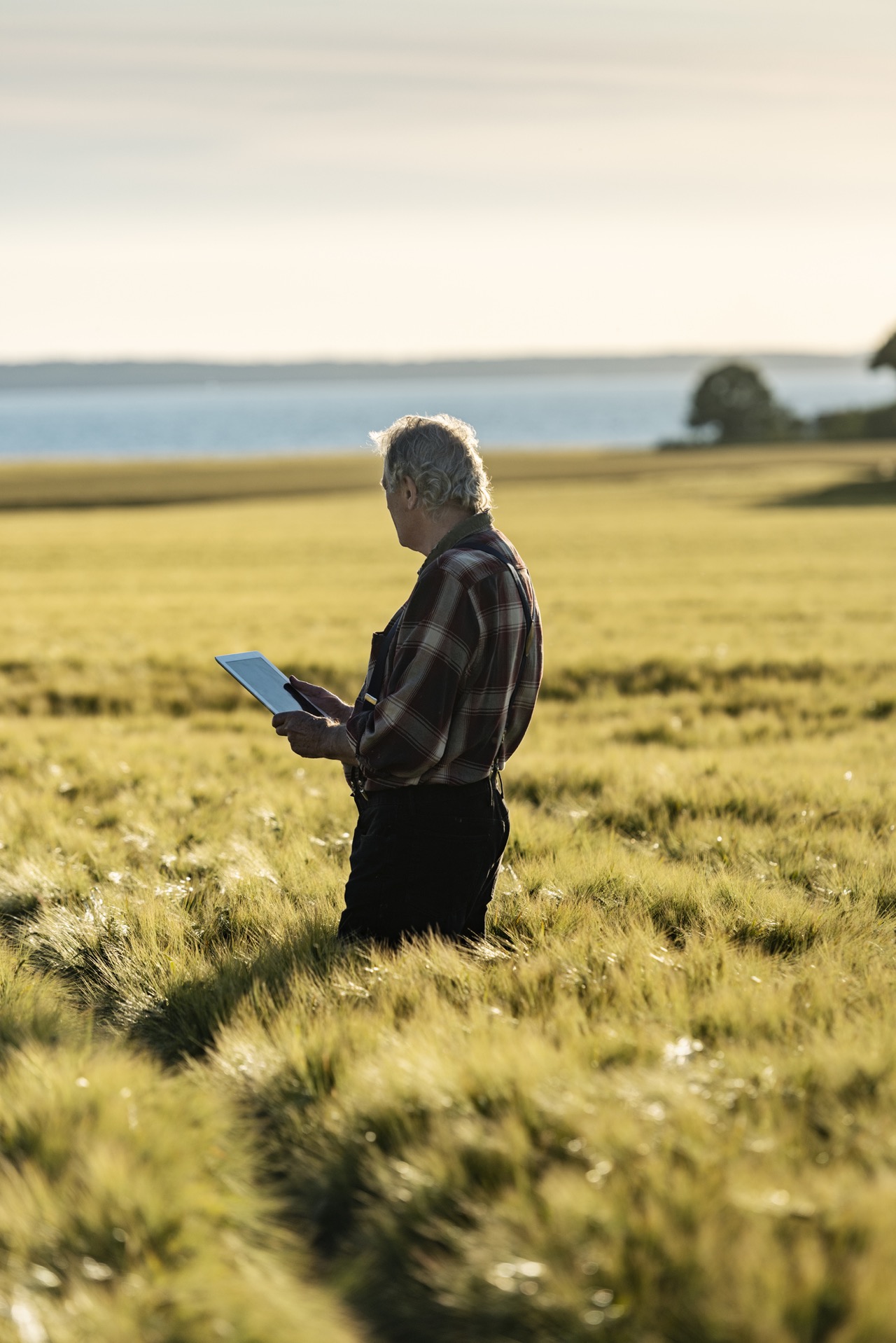 Image for Key commitments